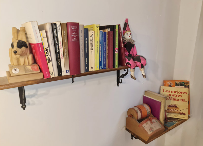 Apartamento rural con encanto en Borredà - estanterías con libros en el salón
