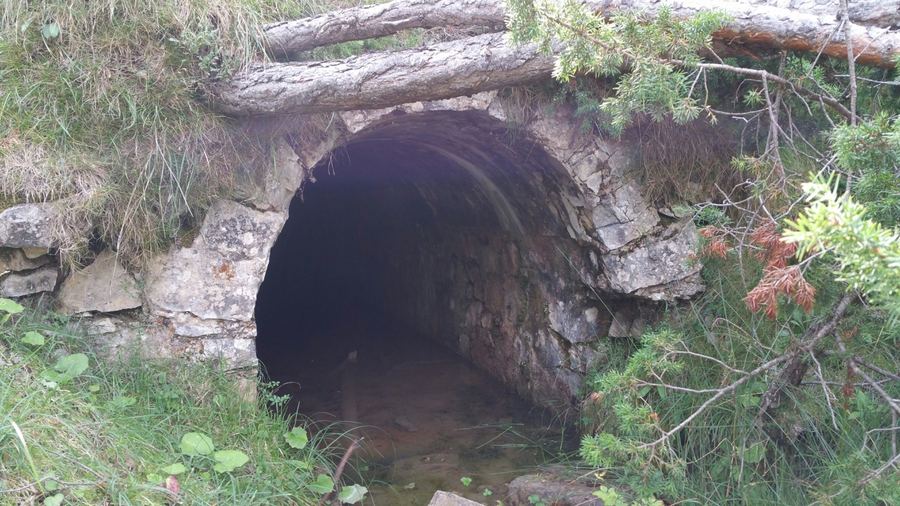 Boca de la Mina d'Arderiu amb volta de formigó i aigua a terra