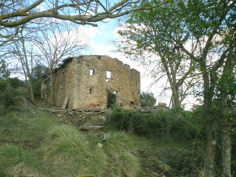 Fachada en ruinas de la Casa de Salga entre árboles, sierra de Picancel