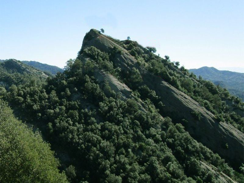 Cima rocosa de Els Gira-sols cubierta de encinas, sierra de Picancel