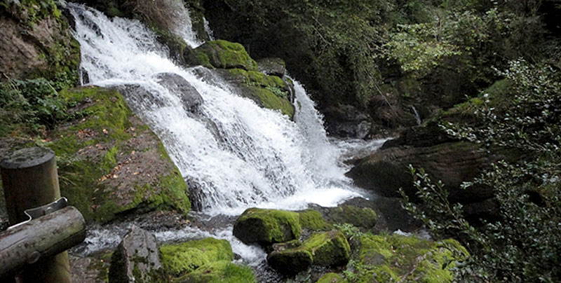 The Llobregat Fountains