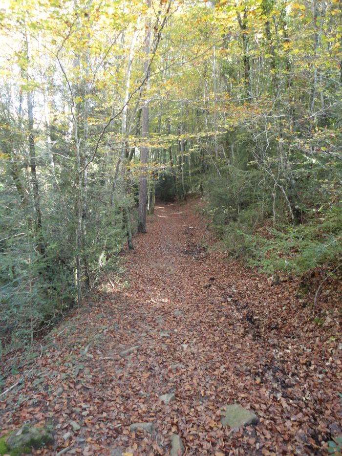 42.153645, 2.004315 · 877 m d'altitud ·