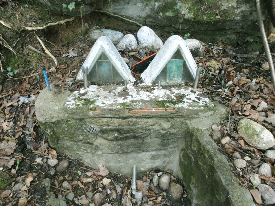 Detalle de la Font de Salga entre hojarasca y piedras