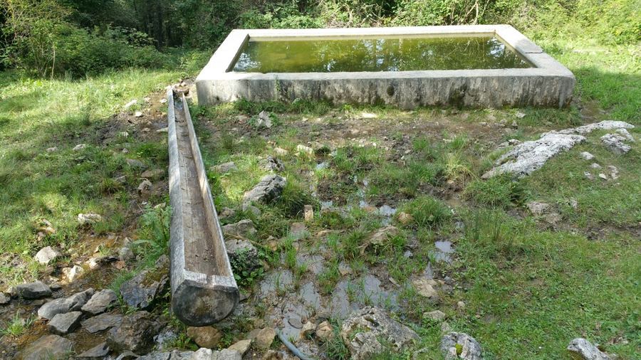 Font del Xalet, depósito de hormigón y canal de madera en el prado