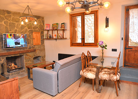 Adapted apartment Berguedà - Living room with comfortable and equipped