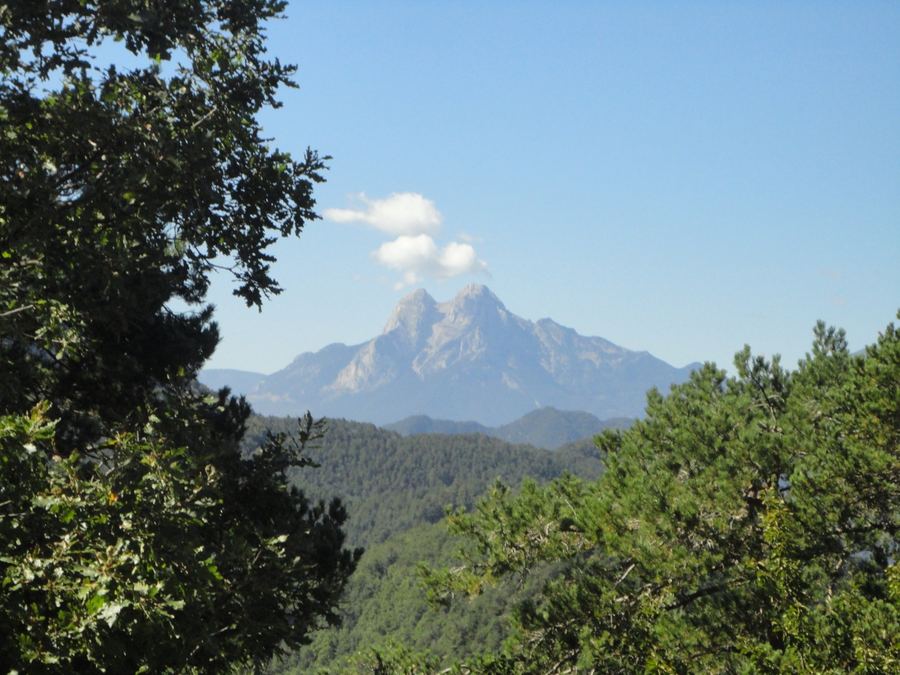 The Pedraforca framed between trees from the Mirador del Pedraforca at Falgars