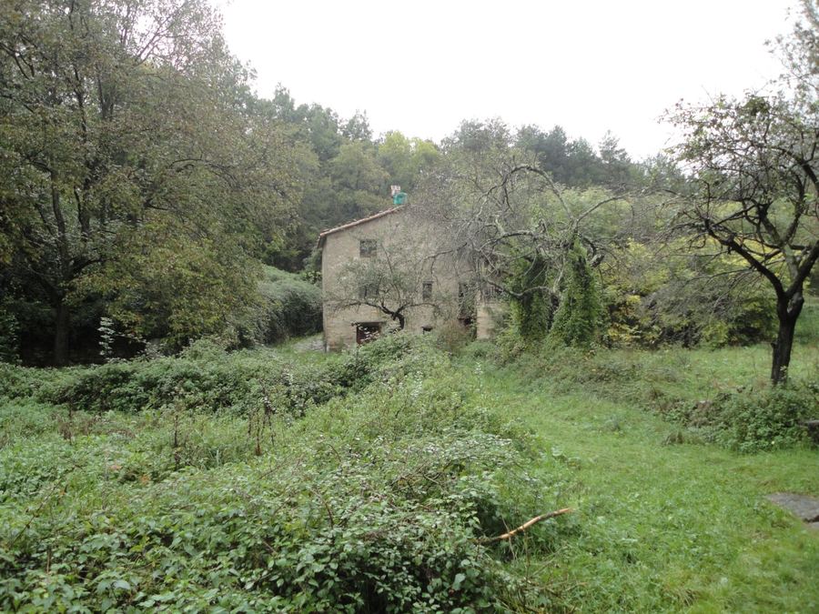 Molí de Campalans entre prats, Borredà
