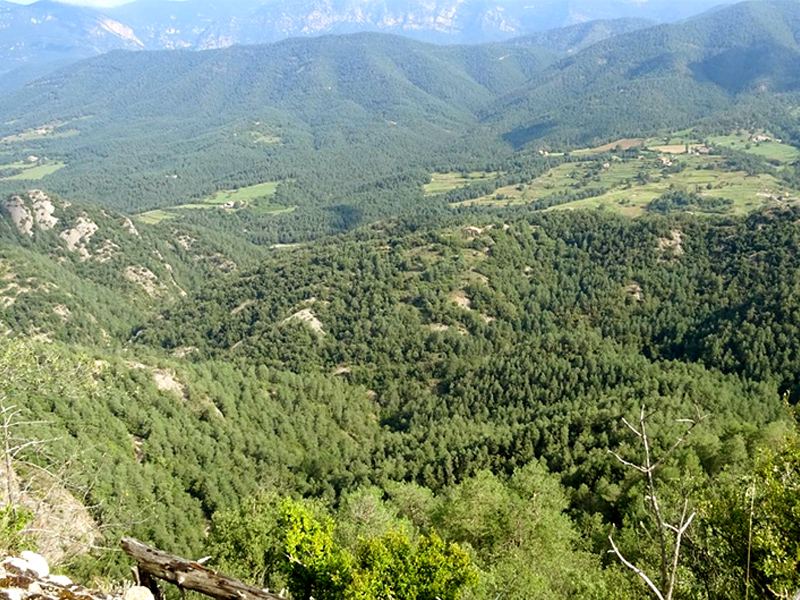 Valle de Borredà y montañas del Berguedà desde el Coll de Forcons, en la sierra de Picancel