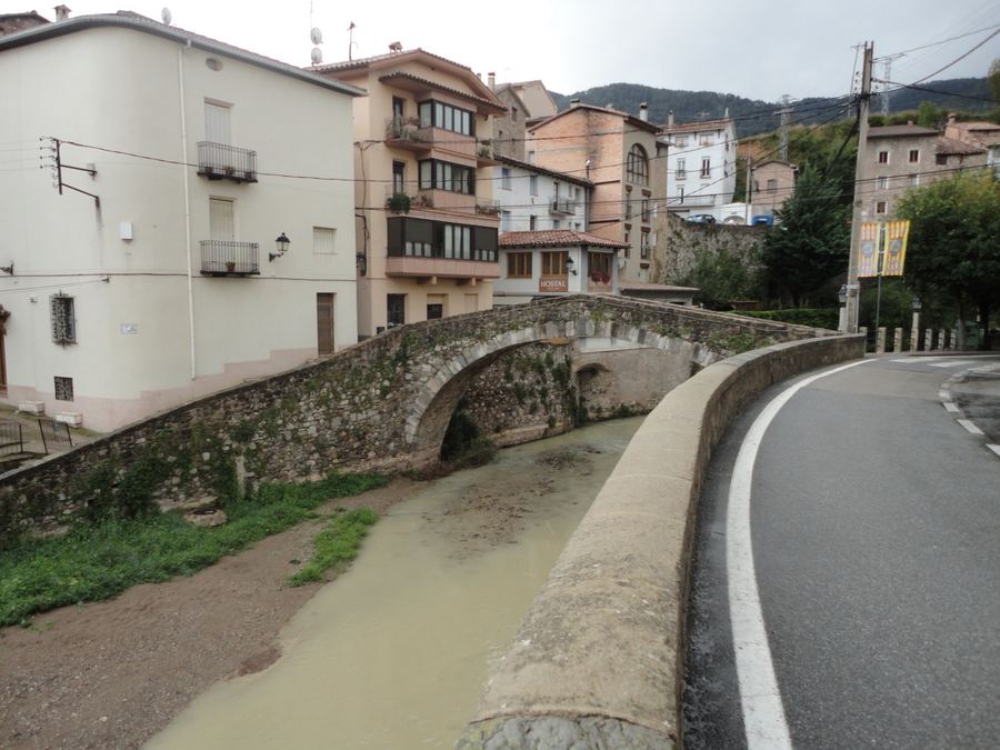 Pont de la Petita, pont de pedra d'un sol arc sobre el Llobregat a la Pobla de Lillet
