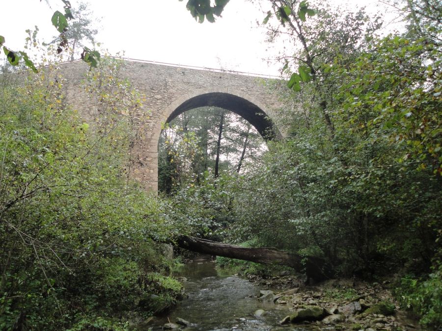 Pont de pedra d'un sol ull del Molí de Sant Joan, a Borredà