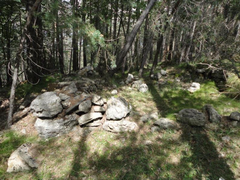 Pedres i restes de construccions de la Mina de la Font Freda entre els pins