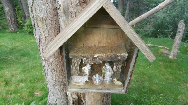 Petit pessebre de fusta clavat en un arbre al costat del camí del Roc de la Clusa