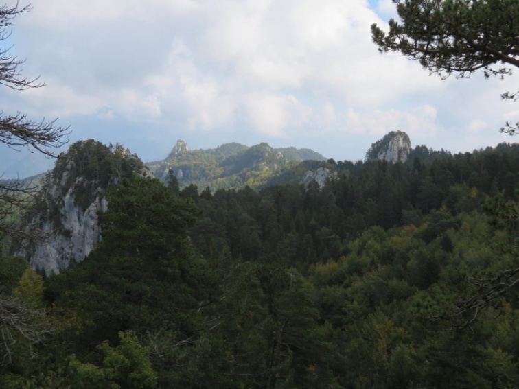 Agulles de roca del Cortal i del Coll de la Ceba sobre el bosc del Catllaràs