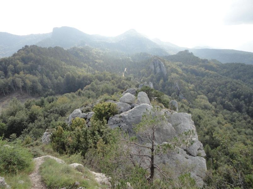 Carena de les Roques d'Arderiu vista des de la Roca de la Moreneta