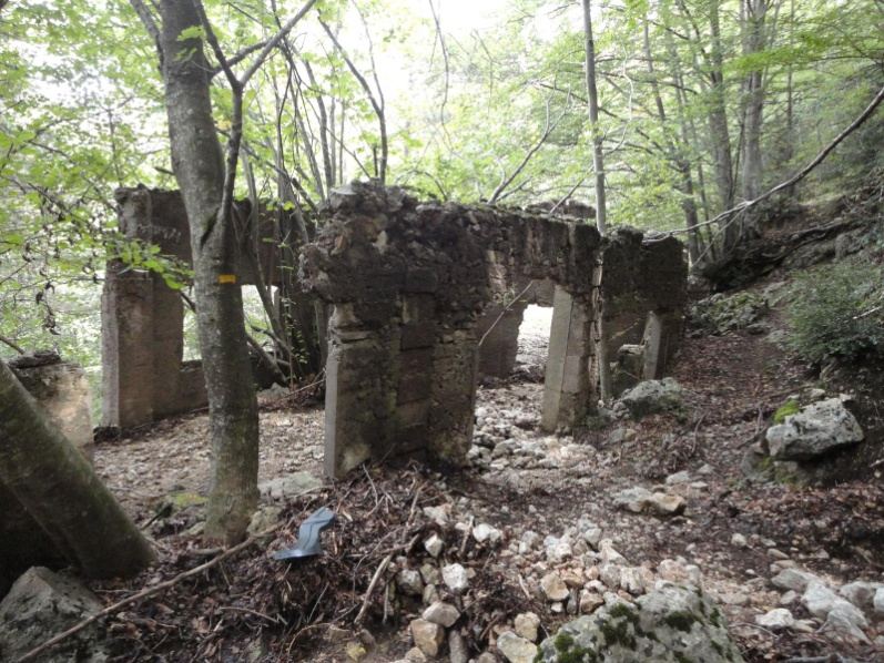 Murs i arcs en ruïnes de l'estació de la Mina del Cable al bosc