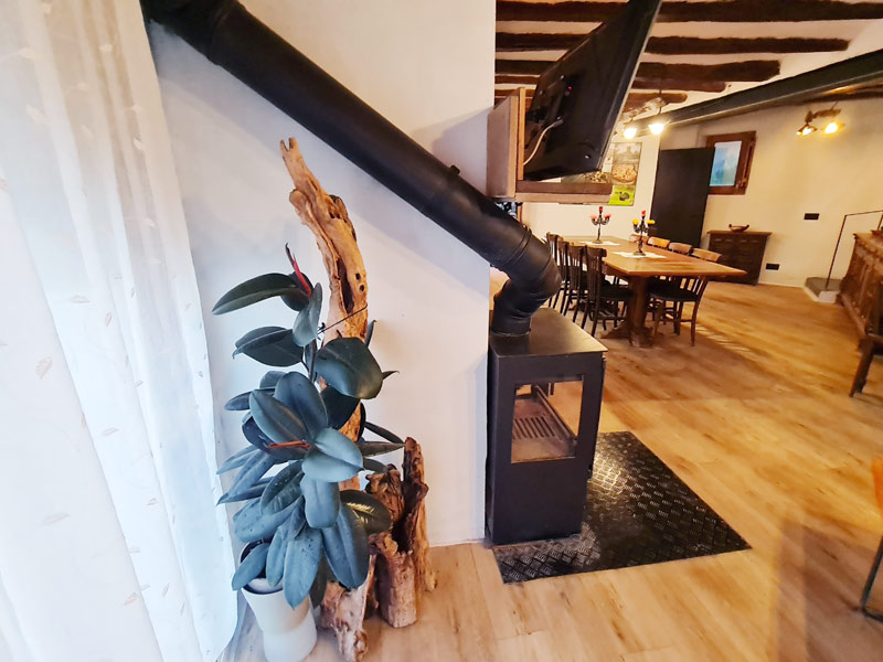 Tríplex Cal Barraqué de Dalt en Borredà - rincón de plantas junto a la chimenea