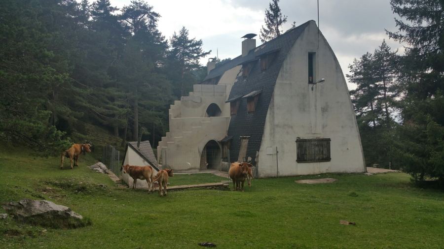 Fachada del Xalet del Catllaràs con la bóveda apuntada y vacas pastando en el prado