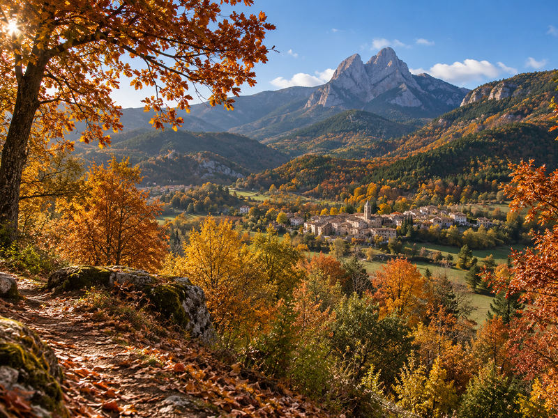 Bosques de otoño en el Berguedà con hojas rojas y amarillas, sendero con luz suave de tarde